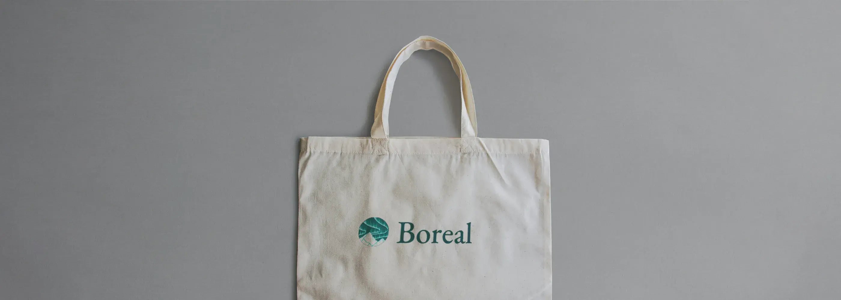 sascola ecologica boreal